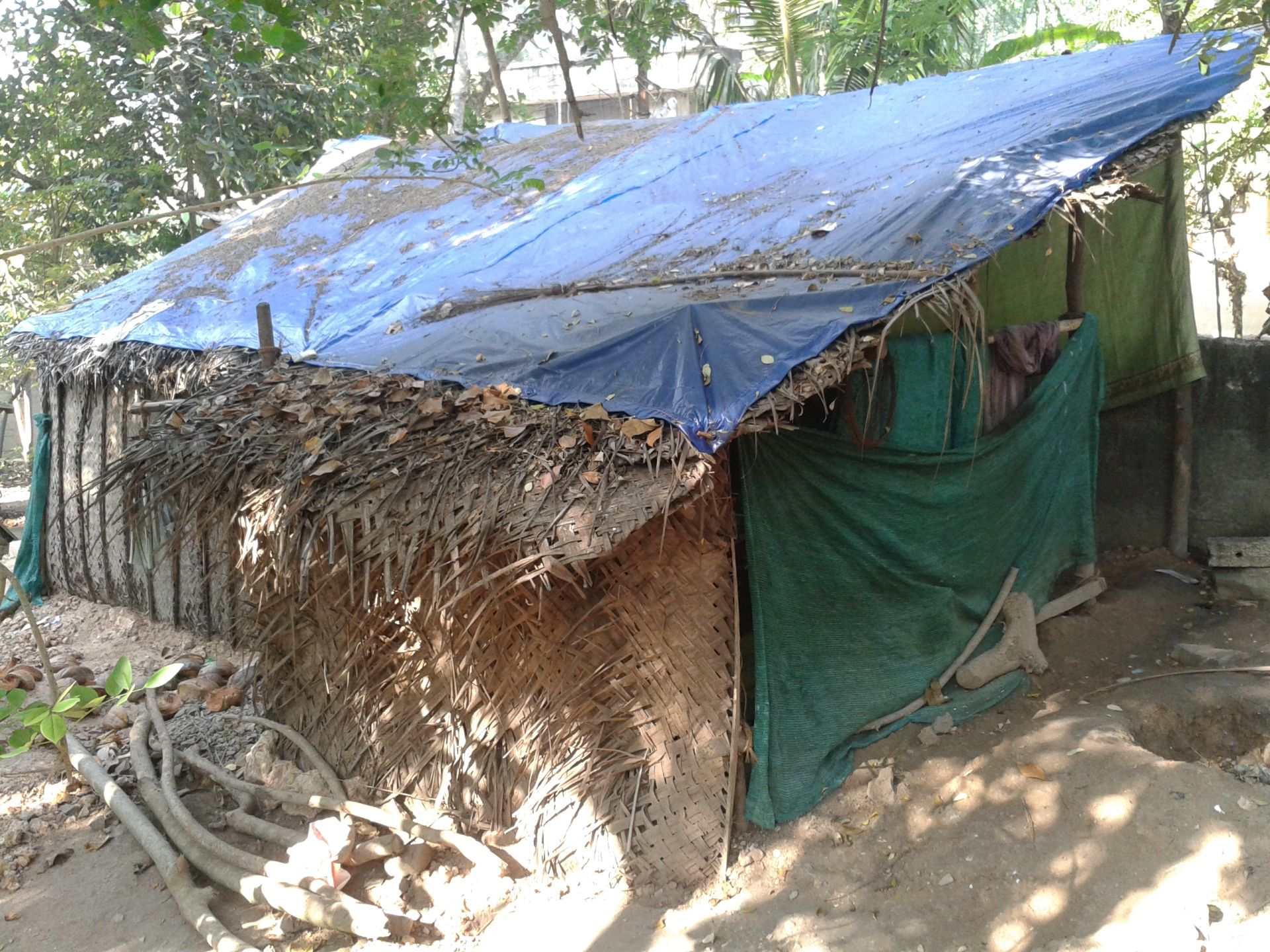 Stiftung Wolfgang Cordes